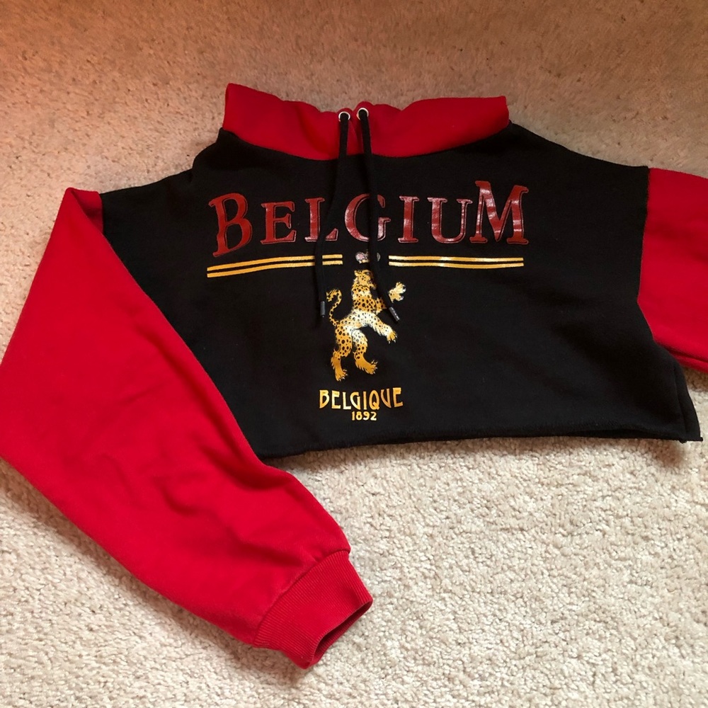 Colorblock Cropped Hoodie
